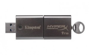 Kingston 1TB Flash Drive