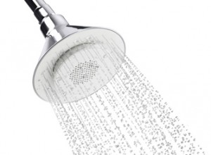 Kohler Moxie Speaker Showerhead